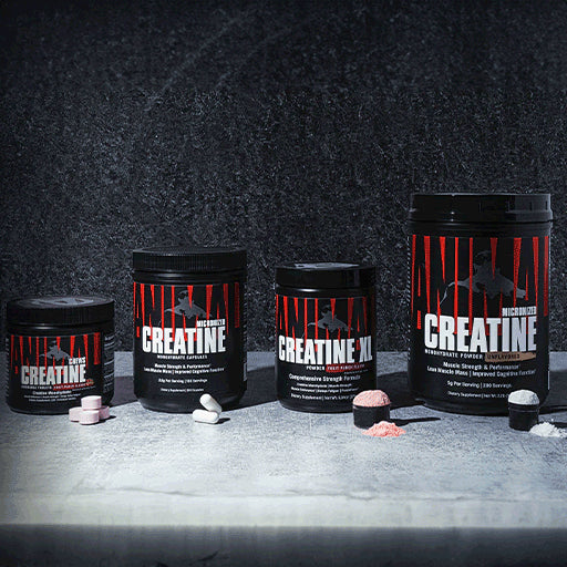 Unraveling the Mysteries of Creatine Supplementation: An In-Depth Guide