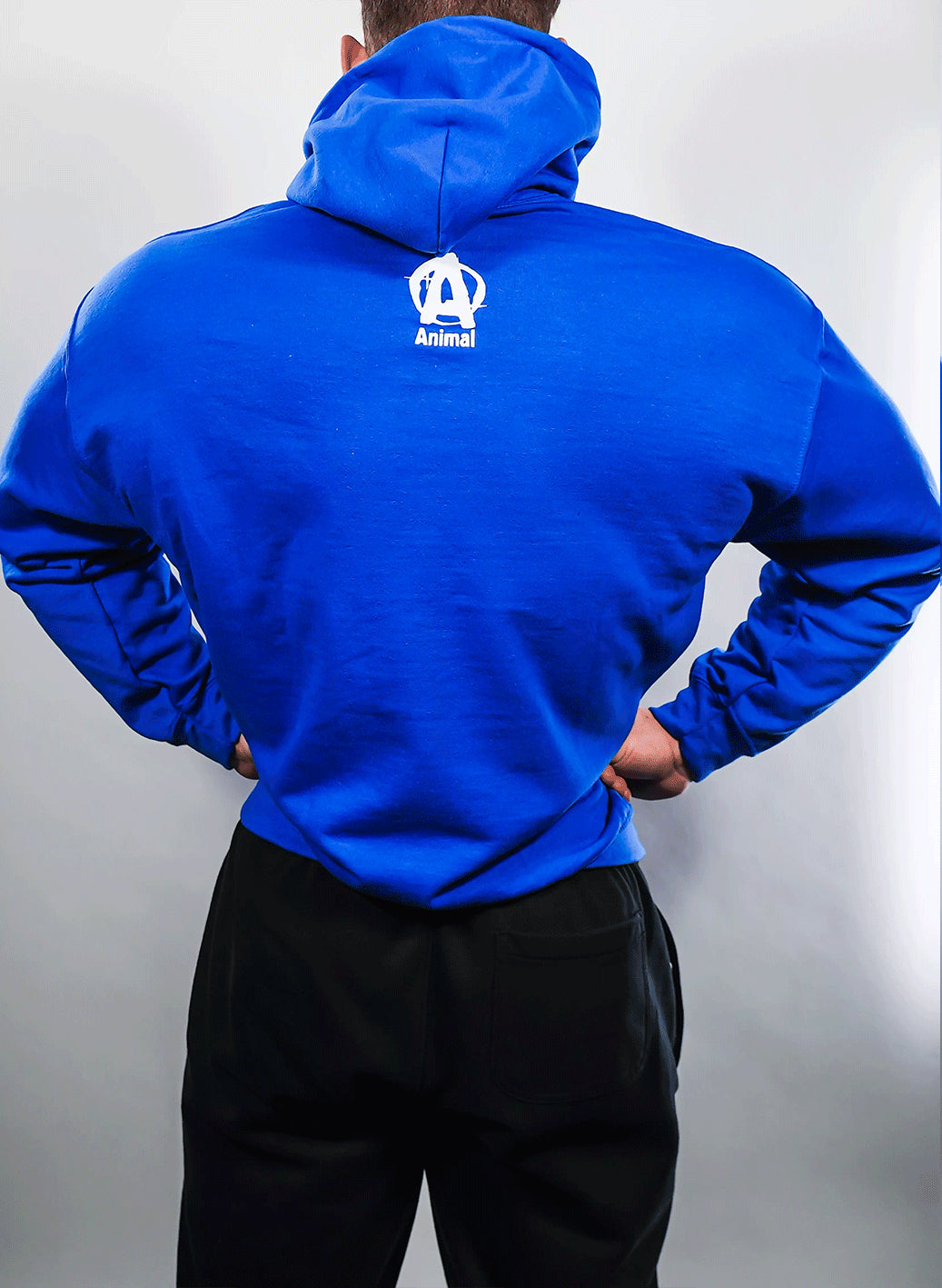 Animal Fury Hooded Sweater Blue