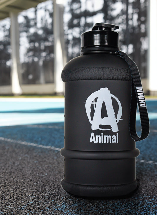 ANIMAL WATER JUG