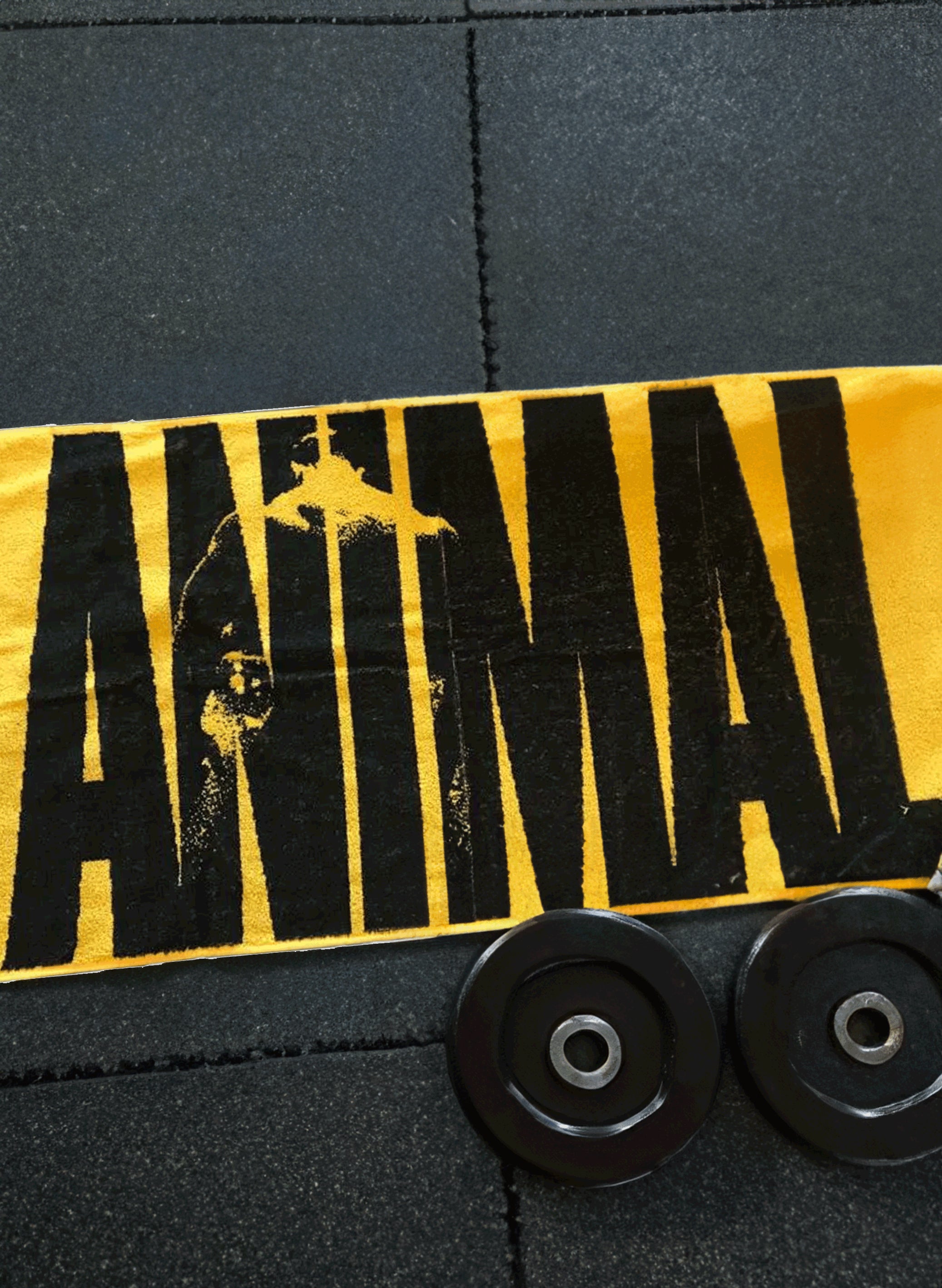 Animal Brand Logo - Gym Towel - Universal Nutrition Europe