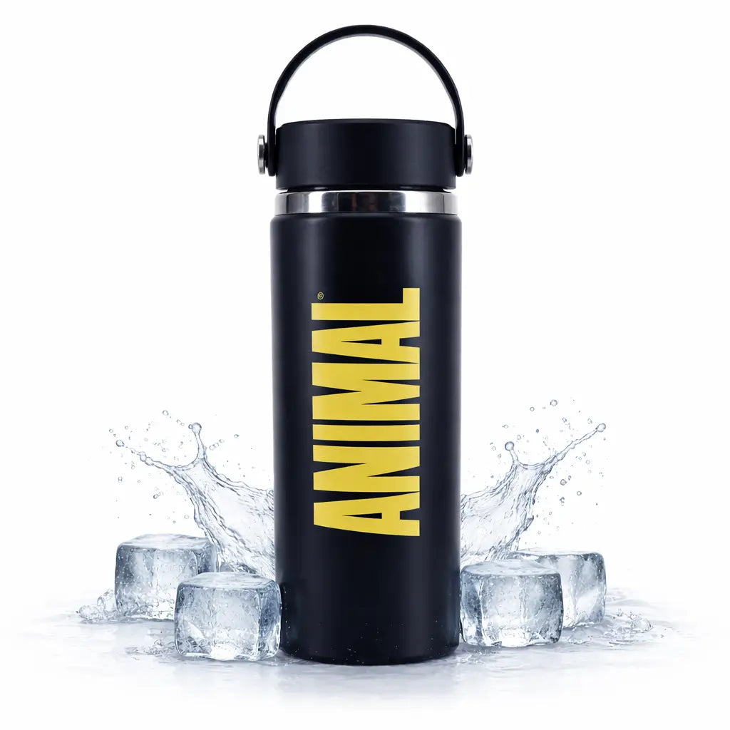 Animal insulated steel water bottle 500ml hot or cold drinks