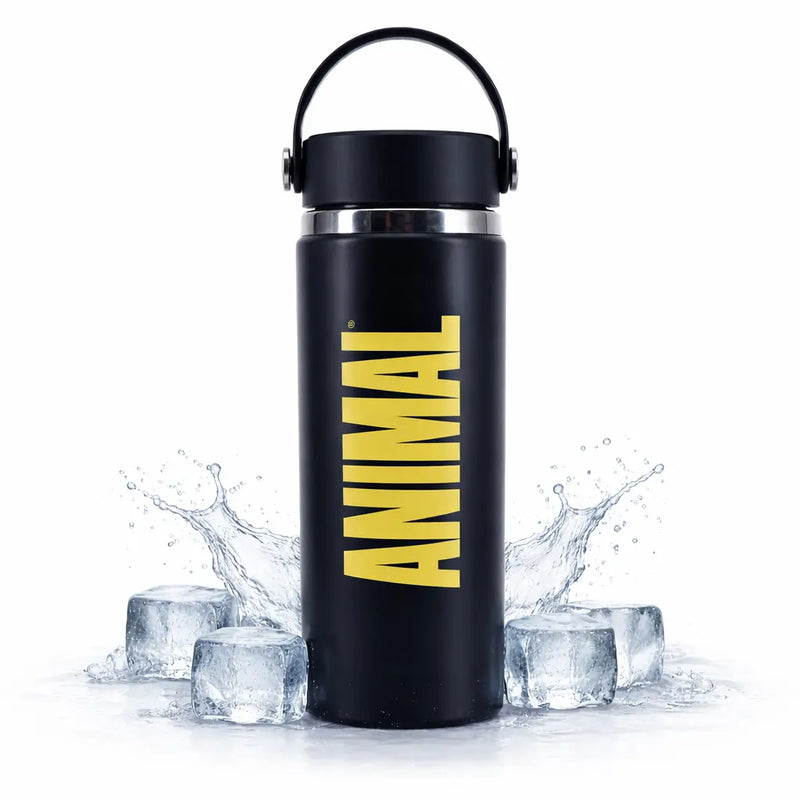 Animal geïsoleerde stalen waterfles 500ml voor warme of koude dranken