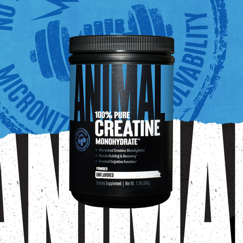 Animal Creatine Powder 500g door Animal Europe