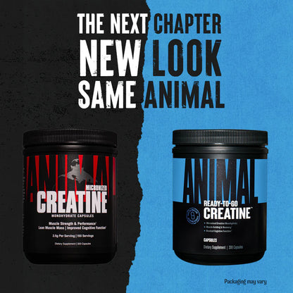 Animal Creatine Capsules nouveau look formule créatine pratique en pilule