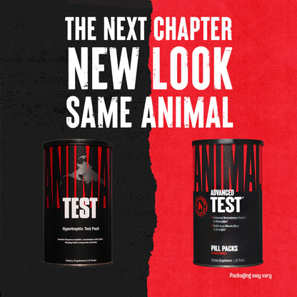 Animal Test – suplement wspierający anabolizm dla wymagających sportowców