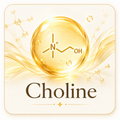 Choline
