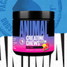 Animal Creatine Chews fruit punch smaak kauwtabletten