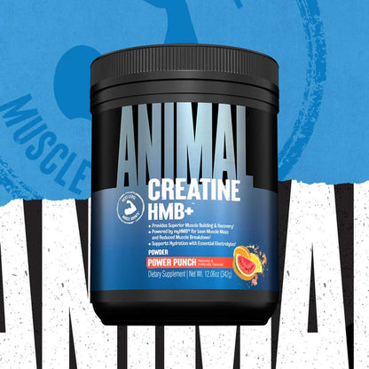 Animal Creatine HMB+ – zaawansowany proszek kreatyny i HMB