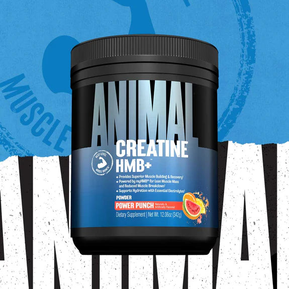 Animal Creatine HMB+ geavanceerd creatine en HMB poeder