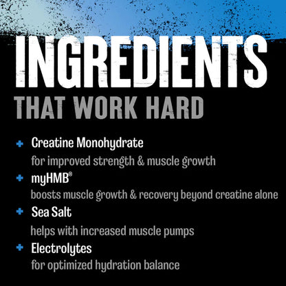 Animal Creatine HMB+ – składniki: monohydrat kreatyny i HMB