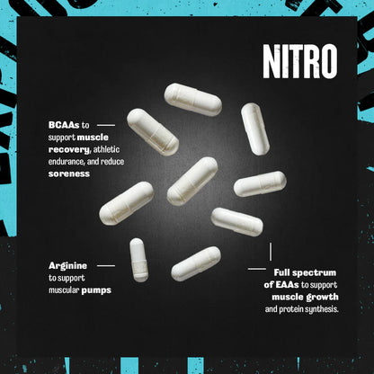 Animal Nitro guide explicatif des capsules d'acides aminés