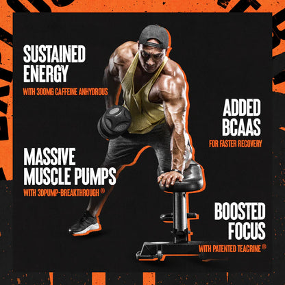 Animal Primal bienfaits pour puissance, endurance et pumps musculaires