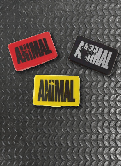 Animal Pill Case vue de face organiseur compact de compléments