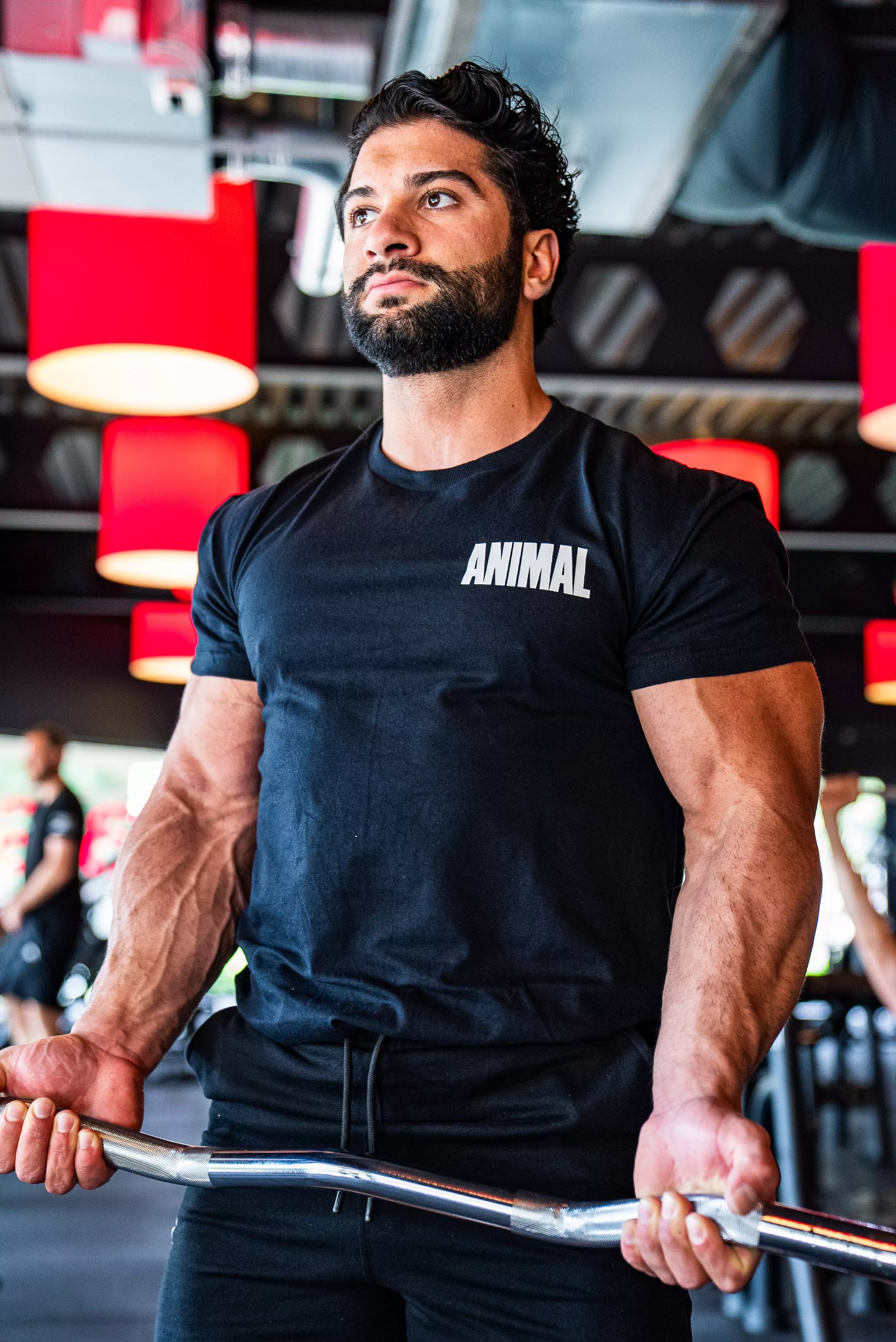Animal Branded logo T Shirt black Animal Europe